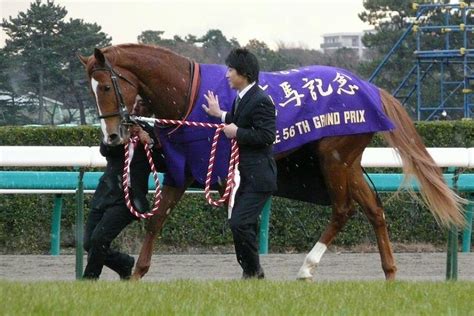 2014 馬|有馬記念｜2014年12月28日